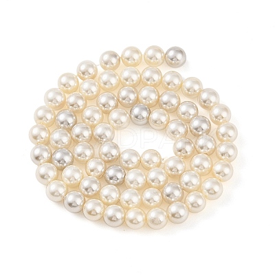 Electroplated Natural Freshwater Shell Beads Strands BSHE-G036-22-1