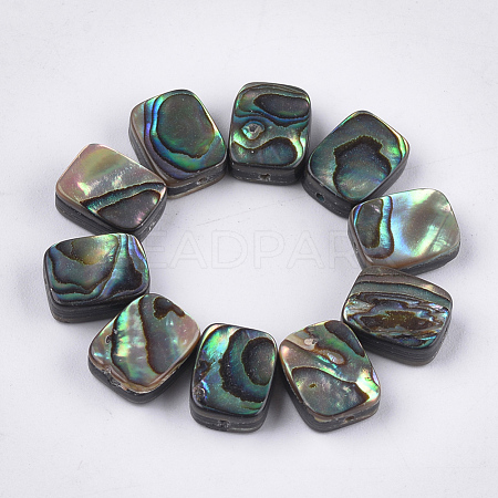 Abalone Shell/Paua Shell Beads SSHEL-T008-05-1
