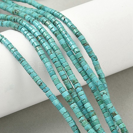 Dyed Natural Magnesite Beads Strands G-M448-C01-01-1
