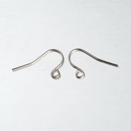 Iron Earring Hooks X-IFIN-N3297-02-1
