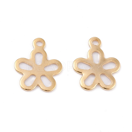 201 Stainless Steel Charms STAS-C017-21G-1