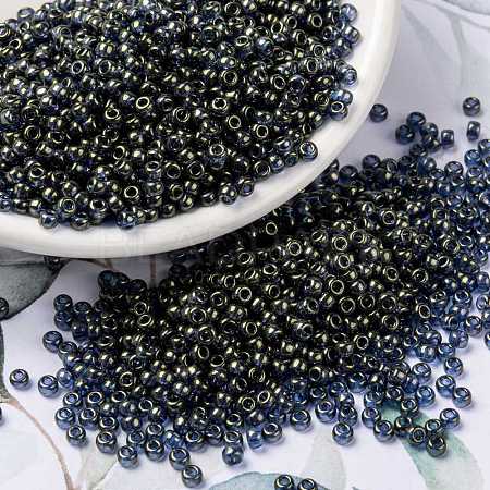 MIYUKI Round Rocailles Beads X-SEED-G008-RR2447-1