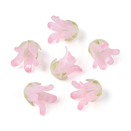 Heat Shrink Acrylic Bead Caps OACR-N155-04B-1