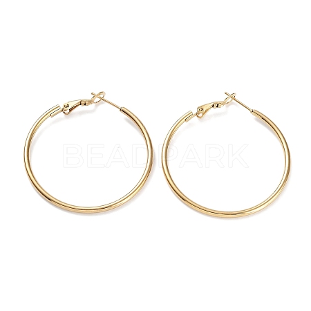 Ring 304 Stainless Steel Hoop Earrings for Women Men EJEW-B049-02D-G-1