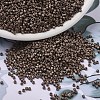 MIYUKI Delica Beads X-SEED-J020-DB1843F-1
