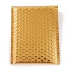 Matte Film Package Bags OPC-P003-01A-05-1