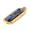 Paua Shell Pendants SSHEL-B145-01C-G-2
