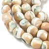 Natural Seashell Shell Beads Strands SH-CBAFEDD-01B-3