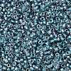 TOHO Round Seed Beads X-SEED-TR15-0263-2