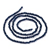 Transparent Glass Beads Strands GLAA-H021-04-28-4
