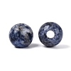 Natural Blue Spot Jasper European Beads G-Q602-09C-07-2