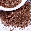 MIYUKI Delica Beads X-SEED-J020-DB1837-1