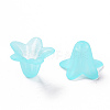 Transparent Acrylic Beads PLF018-13-5