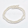 Natural Cultured Freshwater Pearl Beads Strands X-PEAR-F007-61-2