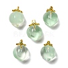 Glass Pendants GLAA-P072-05G-07-1
