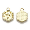 Alloy Pendants PALLOY-N157-003V-NR-3