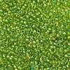 MIYUKI Round Rocailles Beads SEED-G007-RR3739-2