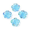 Transparent Resin Cabochons CRES-N030-001B-02-1
