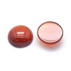 Natural Carnelian Cabochons G-P393-R18-14mm-2