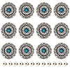 Gorgecraft 12 Sets Alloy & Imitation Turquoise Craft Solid Screw Rivet FIND-GF0004-24-1