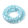 Electroplate Opaque Glass Beads GLAA-F108-10A-04-1