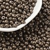 6/0 Glass Seed Beads X1-SEED-L011-08A-09-1