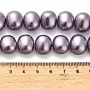 Shell Pearl Beads Strands BSHE-F013-01C-4