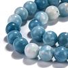 Natural Gemstone Beads Strands G-L367-01-8mm-5