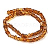 Natural Amber Beads Strands G-K387-E01-01-4