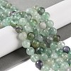 Natural Fluorite Beads Strands G-P530-B04-03-2