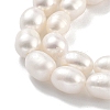 Natural Cultured Freshwater Pearl Beads Strands PEAR-P062-10H-4