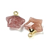 Gemstone Pendants G-P540-01G-3