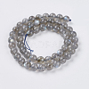 Natural Labradorite Beads Strands G-G448-8mm-04B-2