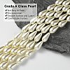 Glass Pearl Beads X-HY-AB426-EM107-2