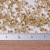 MIYUKI Delica Beads X-SEED-J020-DB0901-4