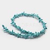 Synthetic Howlite Bead Strand X-G-P228-16-2