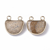 Natural Picture Jasper Semi Circle Pendants G-S359-011E-2