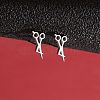 Stainless Steel Stud Earrings for Women PW-WGFE412-36-1