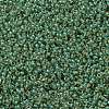 MIYUKI Round Rocailles Beads SEED-JP0010-RR0374-2