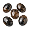 Natural Mahogany Obsidian Cabochons G-C115-01B-34-1