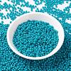 MIYUKI Round Rocailles Beads X-SEED-G008-RR4483-2