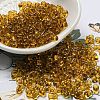 Glass Seed Beads SEED-K009-11B-01-1