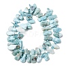 Natural Larimar Beads Strands G-L649-A08-01-3