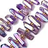 Electroplated Natural Quartz Crystal Beads Strands G-F800-F17-1