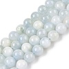 Dyed Natural White Jade Beads Strands G-T138-8mm-210-41-4