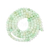 Natural Chrysoprase Beads Strands G-P542-A04-02-3