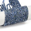 Natural Kyanite Beads Strands G-B088-E24-03A-5