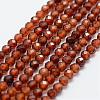 Natural Garnet Bead Strands G-G663-03-3mm-1