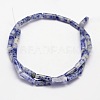 Natural Blue Spot Jasper Column Beads Strands X-G-F247-02-2