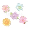 Transparent Resin Cabochons RE-CBA1274-02-1
